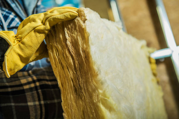 Best Insulation Maintenance and Repair in Sulphur, LA