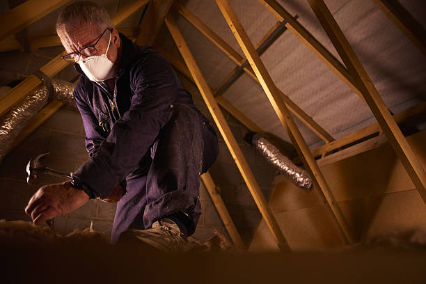 Best Residential Insulation in Sulphur, LA
